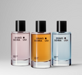 The Scent Edit – Fragrance Set